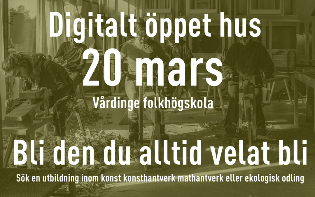 Digitalt öppet hus